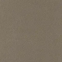 Fossil i-Rivers D185553